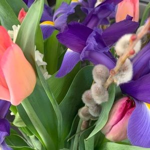 Meet your Posher, Maria